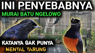 NGELOWO APA GAK PUNYA METAL MURAI BATU NGELOWO MURAI BATU HILANG FIGHTER