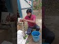 सुखपुर वार्ड नंबर 12 में मोटर नहीं चला।( Guddu electrical supaul ) || 🔧 part - 2