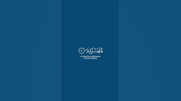 ﴿رب المشرق والمغرب لا إله إلا هو فاتخذه وكيلا﴾سورة المزمل ياسر الدوسريMuslim book