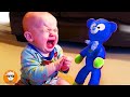 Funny babies scared of toys then crying  funny babys  just funniest