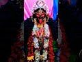 শ্যামাসুন্দরী 🌸🌼🌺#trending #viralvideo