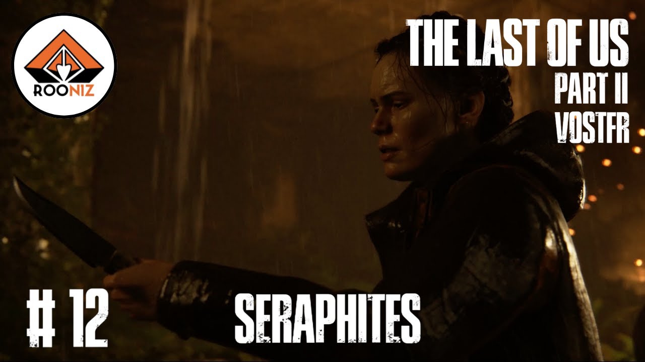 The Last Of Us Saison 2 Épisode 12 VOSTFR SANS COMMENTAIRES/NO