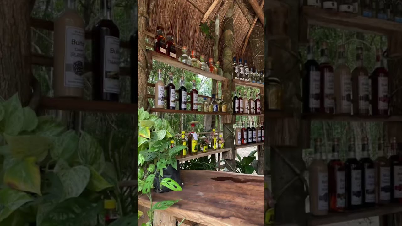 Ready to defy gravity? 😎