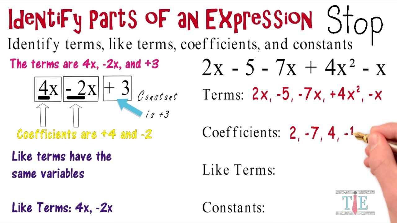 Identifying Parts of an Expression: Algebra Animations - YouTube