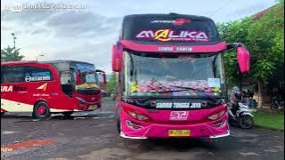 bunyi telolet mengular BUS STJ MALIKA