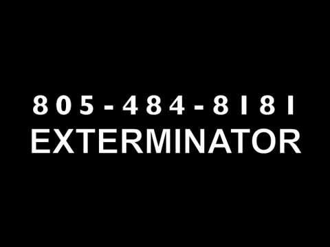 exterminators-ants-bees-wasps-rats-spiders-gophers-newbury-park-westlake-village-thousand-oaks