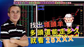 多頭還能走多久 看緊 25XXX 關鍵點！如何找出年度領頭羊