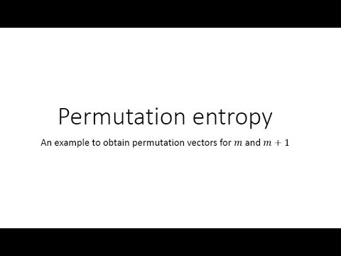 Permutation Entropy -