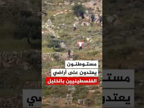 مستوطنون يعتدون على أراضي الفلسطينيين بالخليل‬