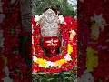 Mangala Mayee... Kalyan mayee 🌺🌺🌺//Maa Tarini 🙏🙏