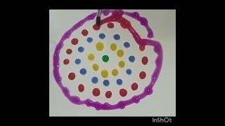 colored water drops 🎨💜💙♥️#art#drops#oodlysatisfying #youtubeshorts #subscribe