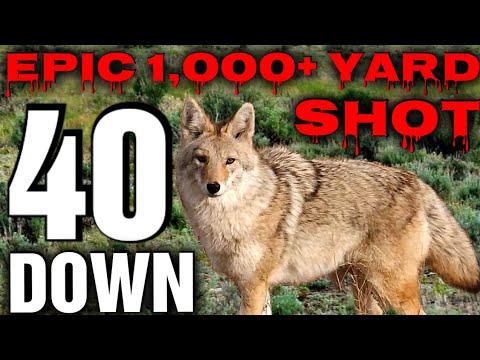 6.5 creedmoor meme