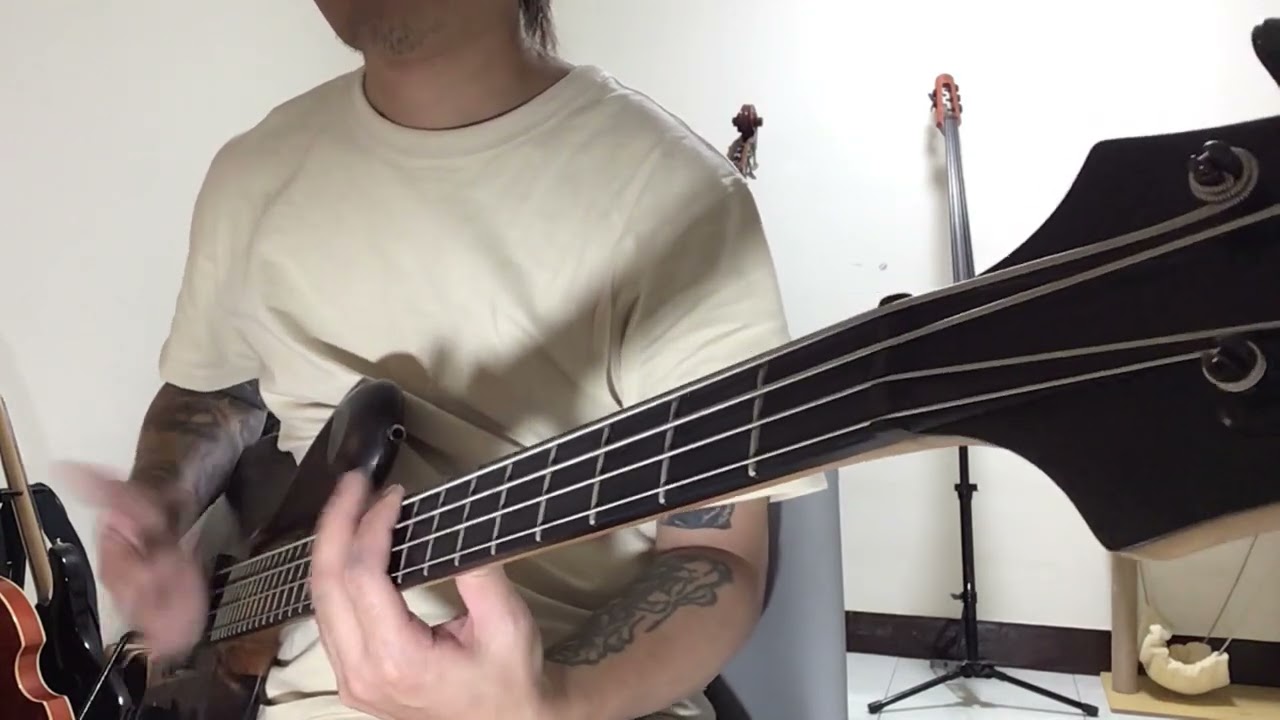 Primus - Antipop Bass cover