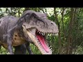 Парк динозавров 2020 в Краснодаре. Много разных динозавров