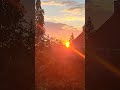 Golden Hour in Munich 🌅 | Sunrise at 5:50 AM ✨#travel
