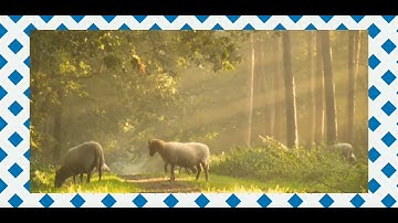 دعاء ختم القرآن الكريم بصوت المقرئ الشيخ العيون الكوشي🌹🌼🌸🌷💐🥀