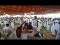 حفلة أم الطيور ودالكردة حفلة أم الطيور ودالكردة