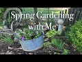 Garden with me  spring plants refresh  concrete decor  containers