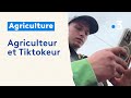 Agriculteur et tiktokeur