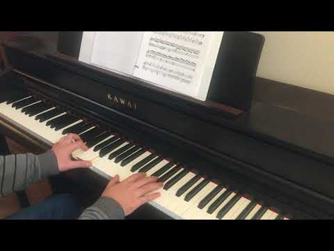 Ori and the Will of the Wisps - A Keepsake from the Past (Piano Arrangement)