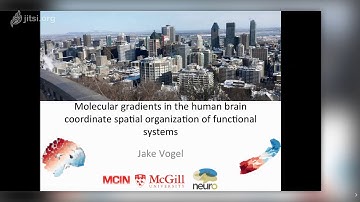 Gradients of Brain Organisation - Session 3: Jacob Vogel, The Neuro, Canada