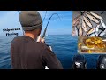 SHIPWRECK FISHING - Pollack , Conger Eel , Pouting , Mackerel Catch N Cook