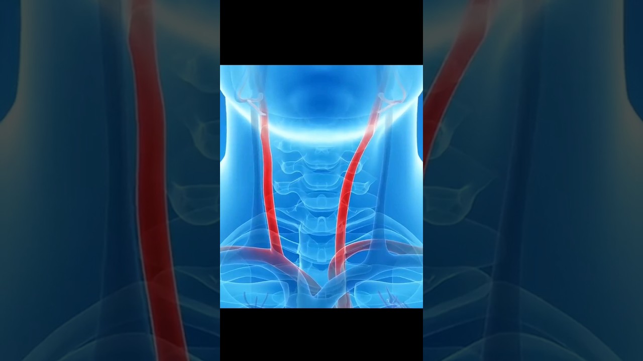 Watch Carotid artery reference in what if season 2 #youtubeshorts #marvel #shorts on YouTube