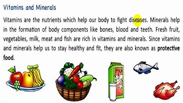 Class 4 Science, Chapter 6: Food and Nutrition (Part 1)