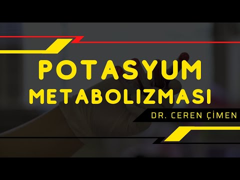 Potasyum Metabolizması Ceren Çimen