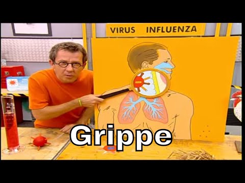 Pourquoi H5N1 est-il moins contagieux que le virus de la grippe classique ? - C'est Pas Sorcier Pourquoi H5N1 est-il moins contagieux que le virus de la grippe classique ? - C'est Pas Sorcier