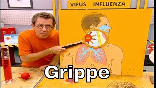 Pourquoi H5N1 est-il moins contagieux que le virus de la grippe classique ? - C'est Pas Sorcier