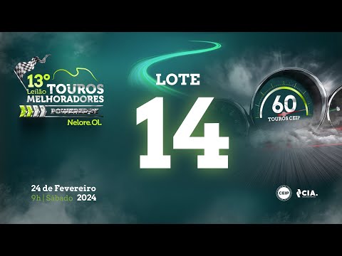 Lote 14 - V9185521 - 13º Leilão de Touros Melhoradores Nelore OL - Edição Virtual