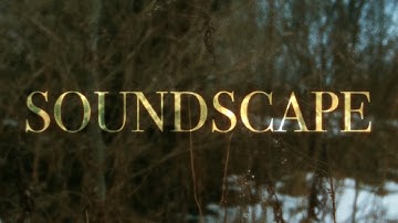 Soundscape Assignment