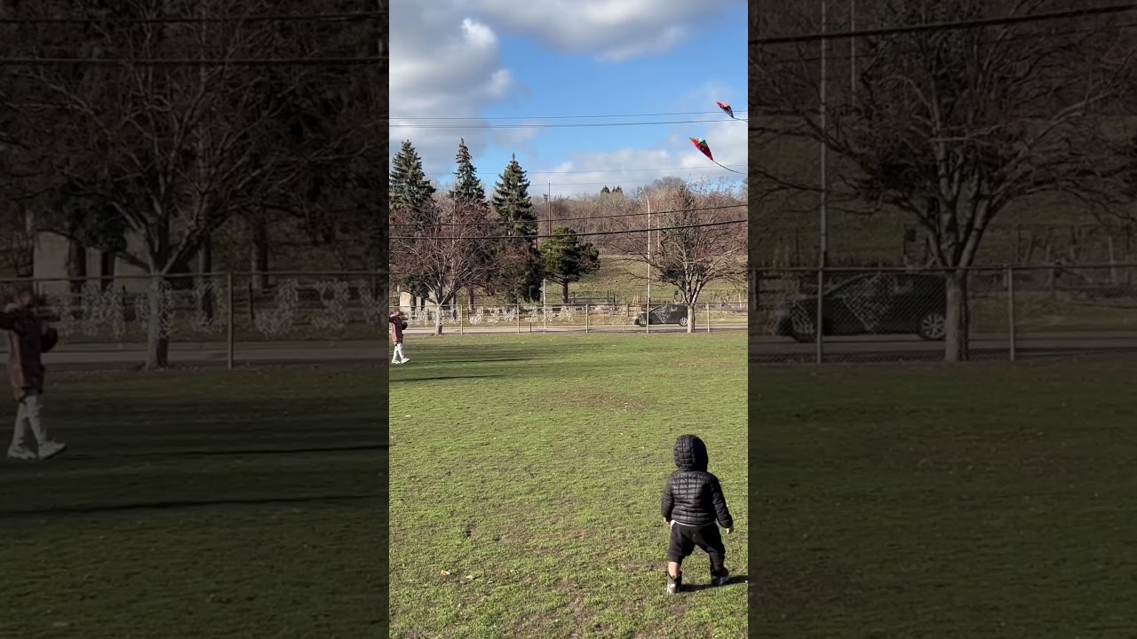 Do kids still fly kites? Jr CEO’s flying kites