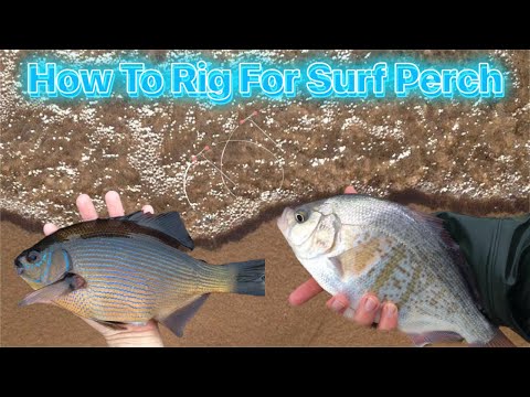 How To Rig For Surf Perch(High-Low Rig) 