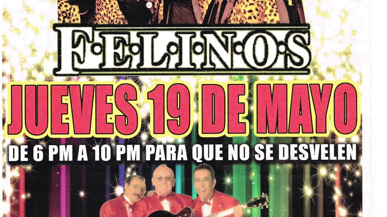 Los Felinos Jambalaya 👍 FOTOS NUNCA ANTES VISTAS 😮 YouTube