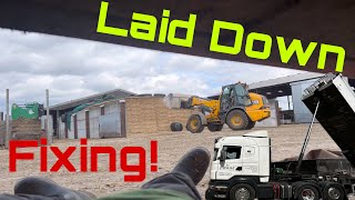 Fixing pipes! Lots of Loads of Feed! John Deere Mick Appearance! by Joe Seels 6,552 views 2 weeks ago 14 minutes, 37 seconds