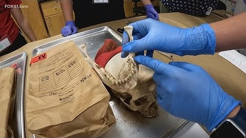 Teens dive into forensics at Quinnipiac