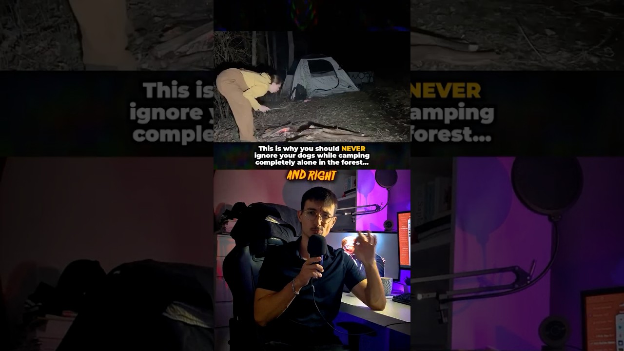 Our animals can sense danger much better than us, so do not ignore them.