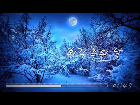 환각속의 달 (Neal K) - 피아노 작곡 / FLstudio Piano