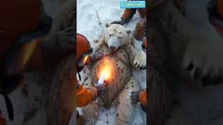 Frozen Fury The Arctic Polar Bear Rescue