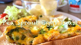 Toast with Pea Sprouts and Eggs | Easy Cooking | Routines for Breakfast 🍳