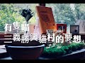 【苗栗景觀餐廳】三義有隻喵，愛貓主人的一個夢想