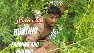 جنگل میں لگھڑ بگھڑ 😹 کا شکار Hunting 🏹 Farming #hunter #farming #Amazing