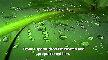 Surah Abasa ( سورة عبس - He Frowned ) Sheikh Mishary Rashid Alafasy