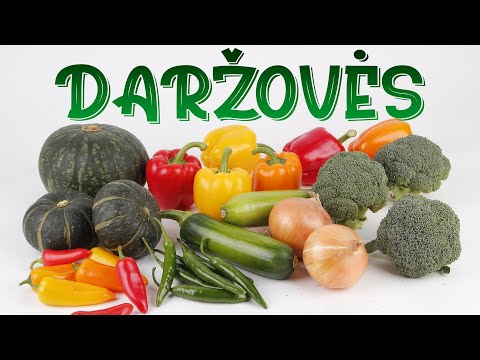 DARŽOVĖS. Mokomės pažinti daržoves | Toys box movies