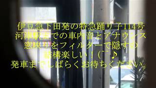 伊豆急下田駅発の特急踊り子114号の車内音とアナウンス(^^♪ 窓映りにフィルター使うの楽しいかも♫