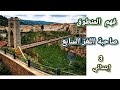 فهم المنطوق صاحبة اللغز السابع القيم أشاهد وأتحدث أستعمل الصيغ أنتج شفهيا للسنة الثالثة إبتدائي