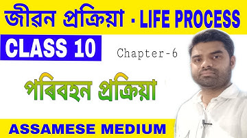 পৰিবহন প্ৰক্ৰিয়া class 10 science chapter 6 in assamese medium (Part-3)