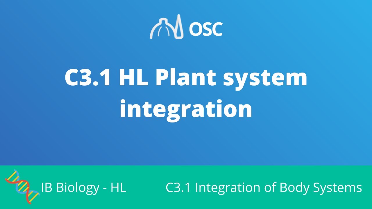 C3.1 HL Plant System Integration [IB Biology HL]